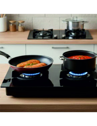 Placa De Cocina De Gas 2 Quemadores Cristal Templado 7mm | Wynwood