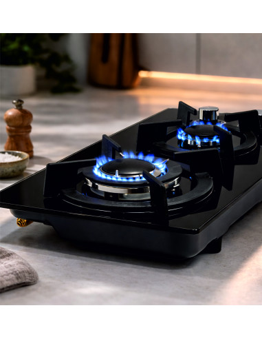 Placa De Cocina De Gas 2 Quemadores Cristal Templado 7mm | Wynwood